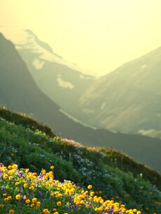 Top 10 Indian Cities With The Cleanest Air