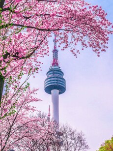 10 Most Popular K-drama Locations to Visit in South Korea