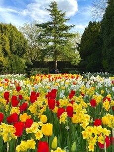 10 Iconic Tourist Spots Known for Their Stunning Flowers