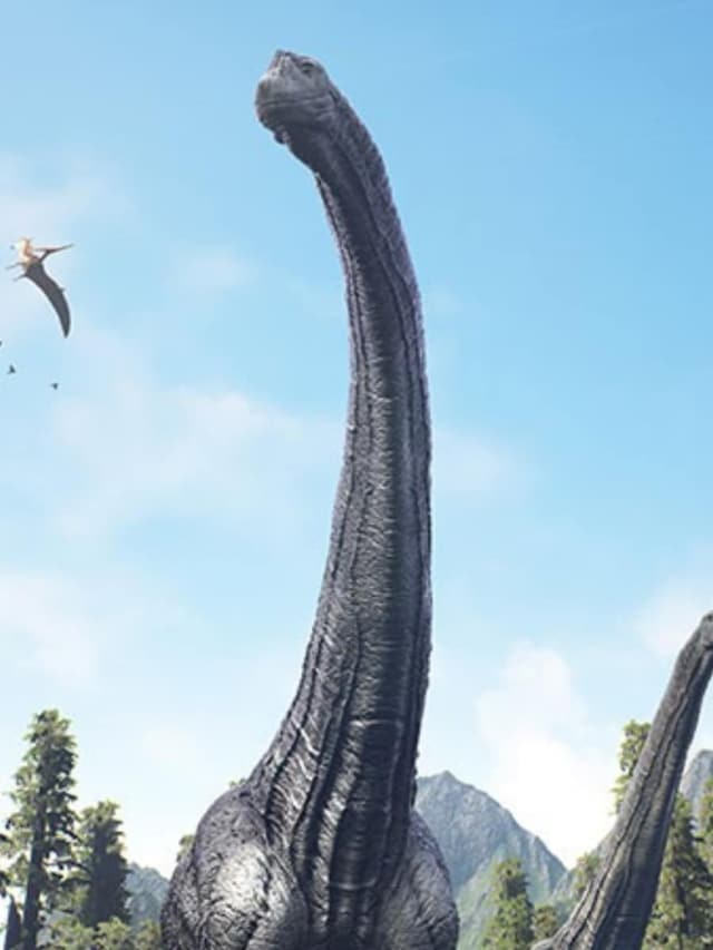 Top 10 Biggest Dinosaurs Ever Discovered Top 10 Biggest Dinosaurs Ever Discovered
