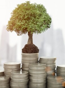 Key Lessons on Investments from Market Veterans Amid Weak Stock Markets