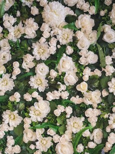 Top 10 Flowers with Irresistible Aromas