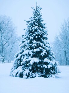 9 Snowy Escapes in Asia for the Perfect White Christmas