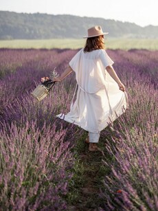 First-Time in Japan? Top 10 Must-Visit Places You Can’t Miss