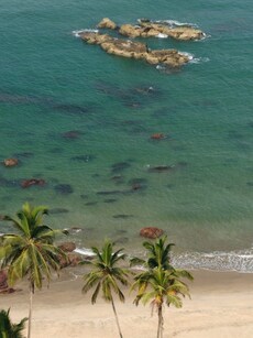 10 Best Indian Beach Destinations for a Perfect New Year Vacation