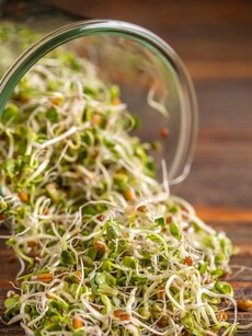 Best diet plan: 11 healthy snacks to boost energy all day