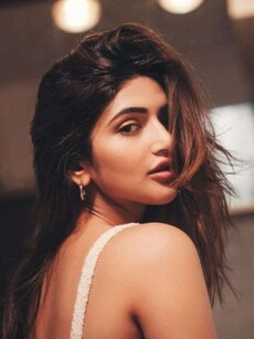 Sreeleela&rsquo;s Top 10 Movies