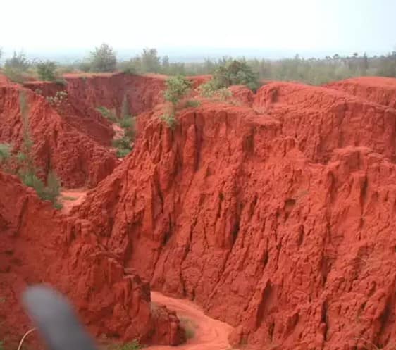 செங்குருதியைப் பாய்ச்சியது போன்ற தோற்றம்… தமிழ்நாட்டிலுள்ள பாலைவனம் பற்றி  தெரியுமா.?