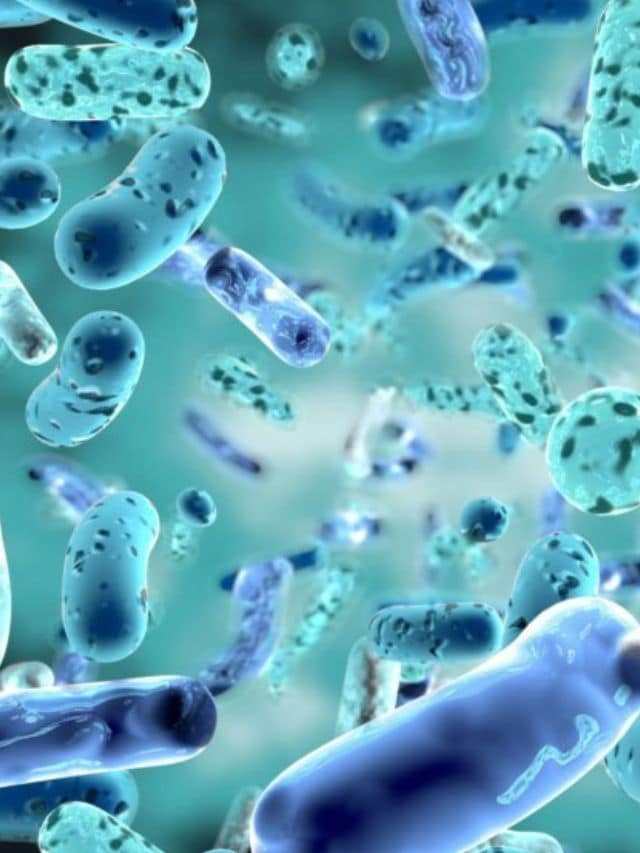 5 Amazing Benefits Of Probiotics