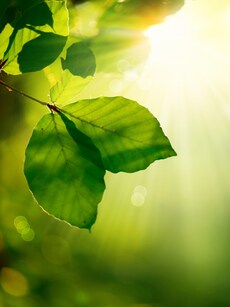 10 Inspiring Meditation Quotes to Help Students Stay Focused