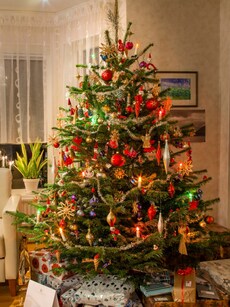 10 Fun Facts About the Christmas Tree You Didn&rsquo;t Know