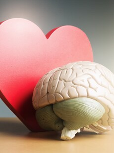 7 Zodiac Signs with the Highest Emotional Intelligence