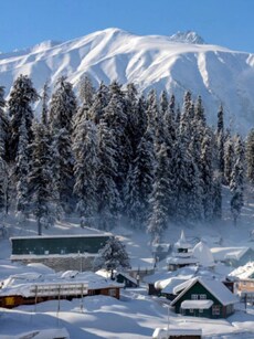 Gulmarg Transforms into a Winter Wonderland with Fresh Snowfall