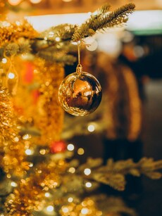 Top 10 Places to Celebrate Christmas in India 2024