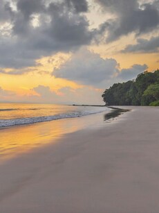 10 Must-Visit Beaches in Andaman & Nicobar Islands