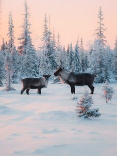 10 Coldest Destinations for Winter Vacation