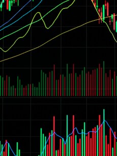 Stock Market Today: Top Gainers & Losers Post Bloodbath on Dalal Street