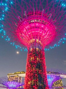 7 Festive Experiences to Enjoy in Singapore This Christmas