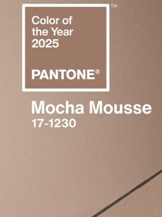 Meet Mocha Mousse, Color of the Year 2025: Phone, earbuds to lead the trend