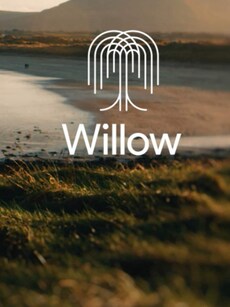 Google Willow: 10 things to know about the new Quantum AI chip