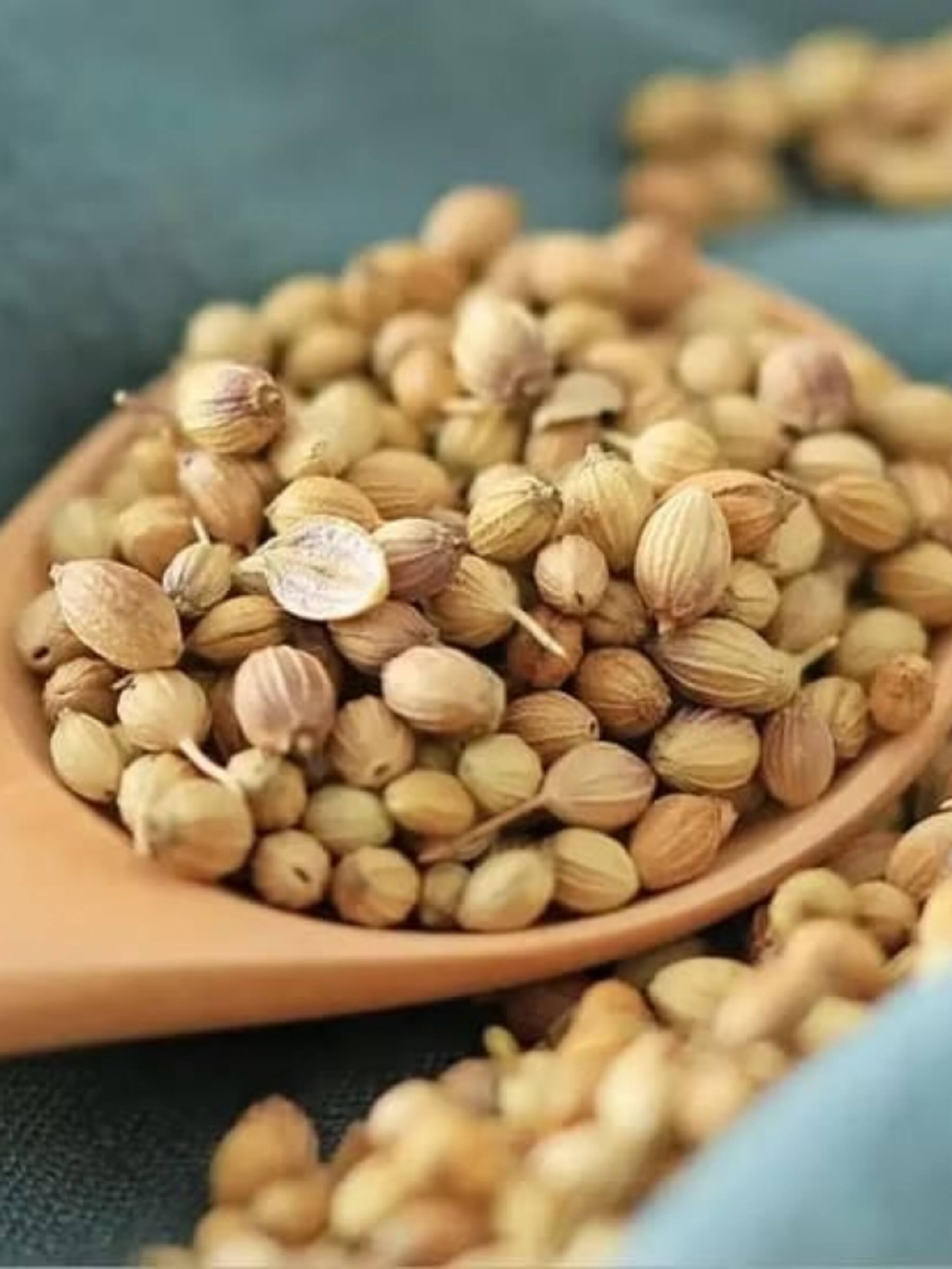 कमी खर्चात शरीर करा डिटॉक्स, रोज प्या धण्याचे पाणी