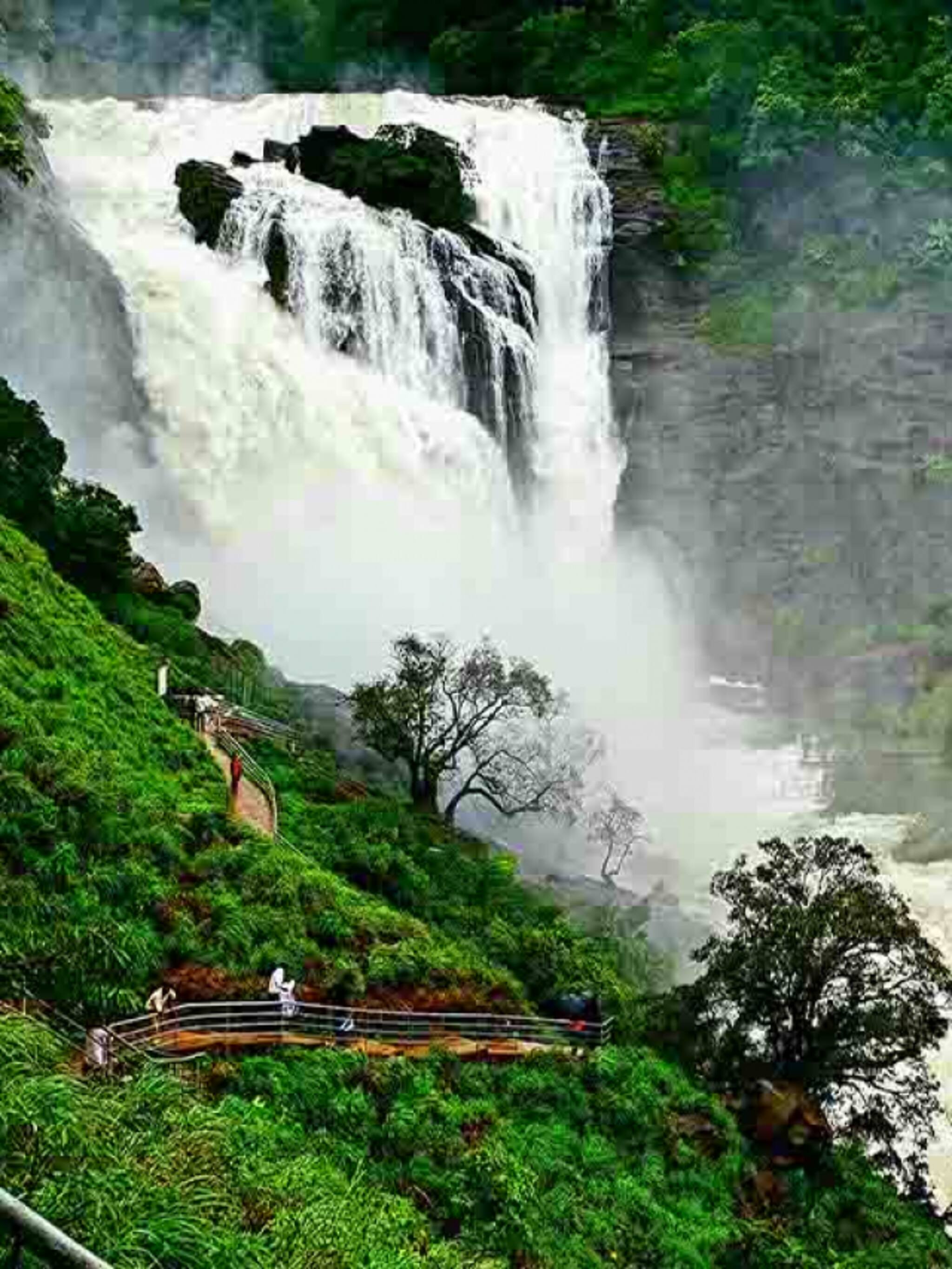 कर्नाटकातील ही ५ हिल स्टेशन्स आहेत स्वर्गापेक्षाही सुंदर, सौंदर्य पाहून पर्यटक होतील थक्क