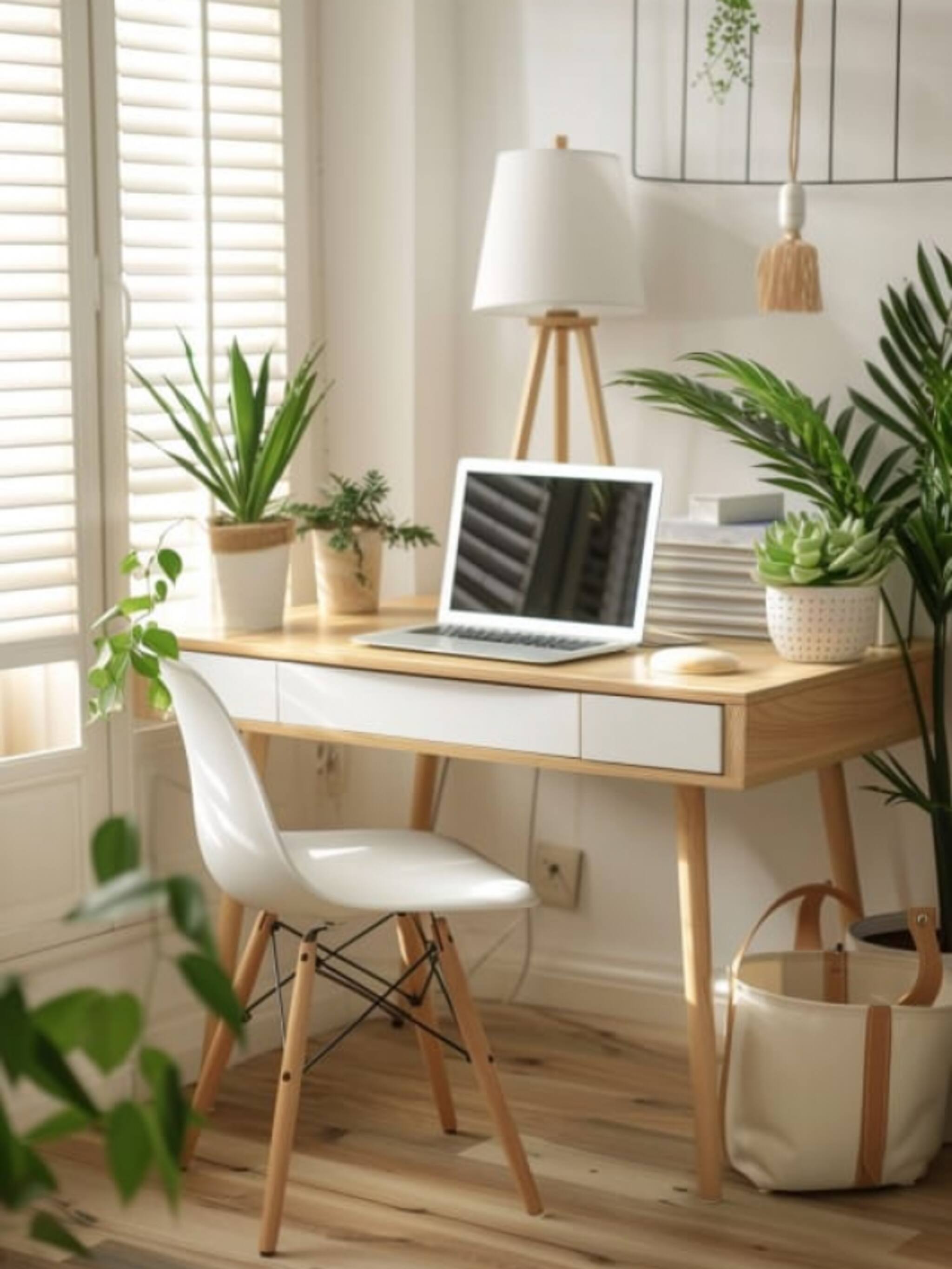 ऑफिस डेस्कवर असायला हव्या अशा ६ महत्वाच्या वस्तू कोणत्या, जाणून घ्या