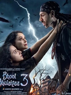 From Bhool Bhulaiyaa 3 to Chandu Champion: Highest box office collection movies of Kartik Aaryan