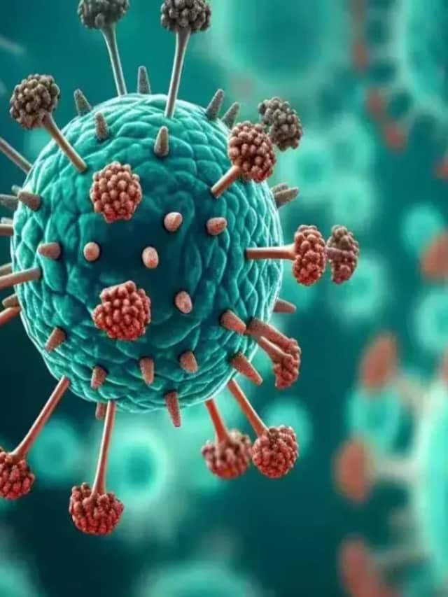 7 Differences Between HMPV Vs Covid-19