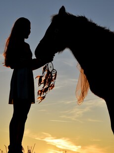 10 Careers That Let You Work Closely with Animals