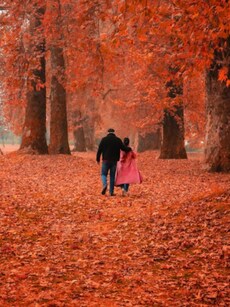 9 Facts About Why Kashmir&rsquo;s Iconic Chinar Trees Were Geo-Tagged