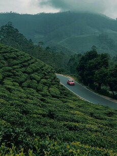 Top 10 Winter Escapes in India for Warm Weather This January