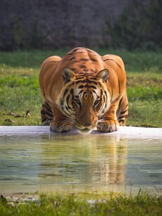 10 Best National Parks in India To Explore This January