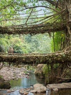 National Tourism Day: 10 Must-Visit Geological Wonders of India