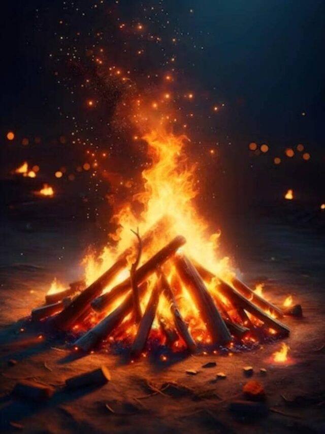 3 Bollywood Movies to Watch for Lohri 2025