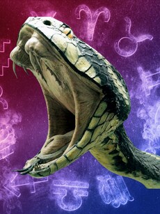 Chinese New Year 2025: Year of the Wood Snake Zodiac Predictions