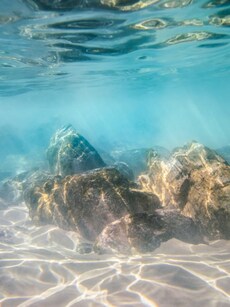 Why is the Ocean Salty? 7 Science-Backed Explanations