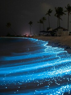 6 Enchanting Beaches in India That Glow in the Dark