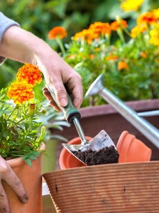 Gardening benefits: 10 ways it helps you lose weight, stay fit