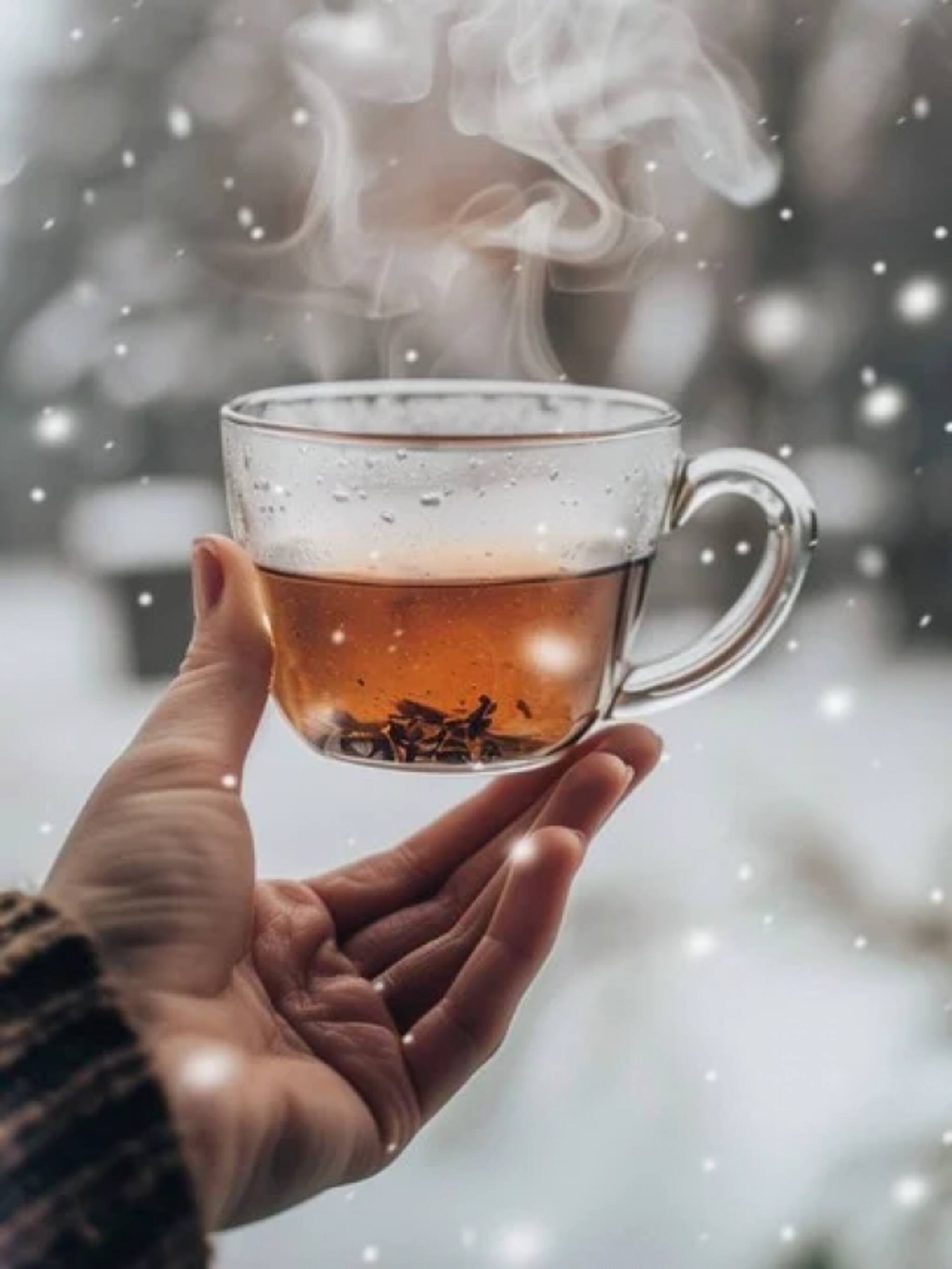 हिवाळ्यात या गोष्टींचा प्या चहा, रोगप्रतिकारशक्ती वाढण्यासोबतच शरीरही राहील उबदार