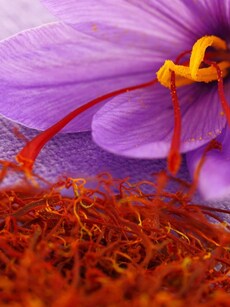 Benefits of saffron: 10 reasons why your skin needs this superfood
