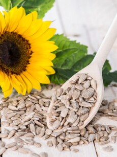 Small superfoods: 10 health benefits of sunflower seeds