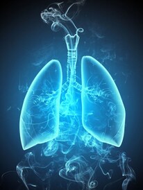 সহজ কয়েকটা নিয়মেই শ্বাসকষ্ট দূর, ফুসফুস থাকবে চাঙ্গা