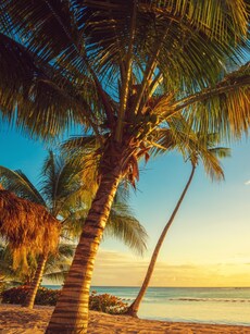 10 Most Popular Places to Visit in 2025