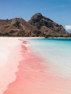 10 Stunning Pink Sand Beaches for a Dreamy Valentine’s Day Getaway