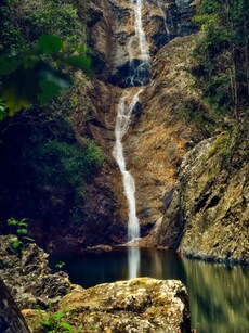 Top 10 Things To Do in Mount Tamborine