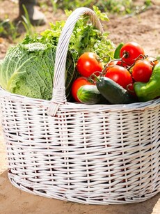 Home gardening tips: Top 8 vegetables to grow in small spaces