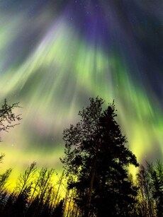 10 Fascinating Scientific Facts About How Magical Northern Lights Form