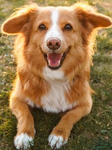 Top 10 Animals That Are Colourblind