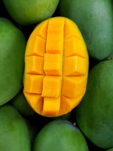 Diet tips: 10 health benefits of mangoes, best slurpy superfood